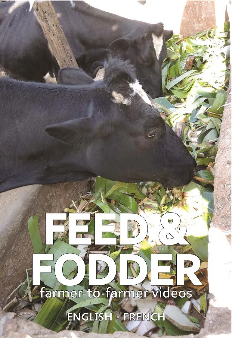 Feed and fodder videos