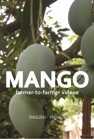 Mango videos