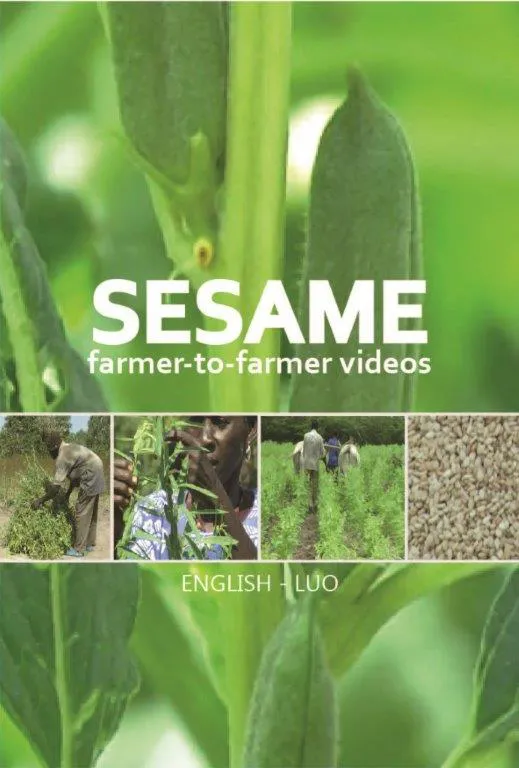 Sesame videos