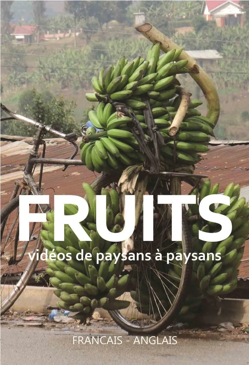 Fruits vidéos:
