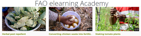 Access Agriculture partners with FAO elearning Academy