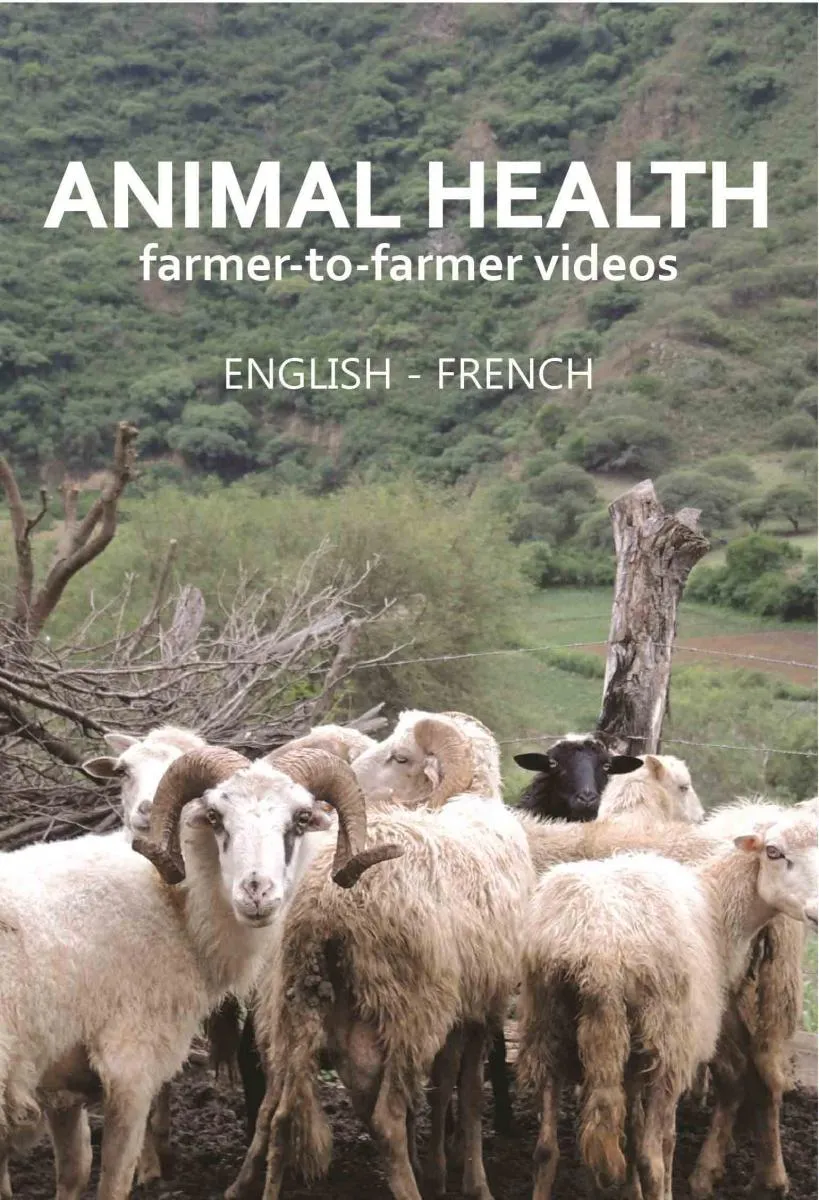 Animal health videos