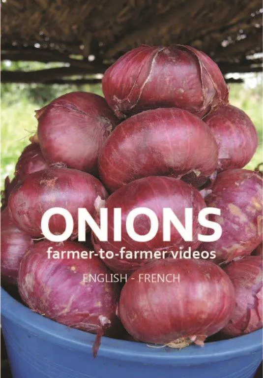 Onion videos