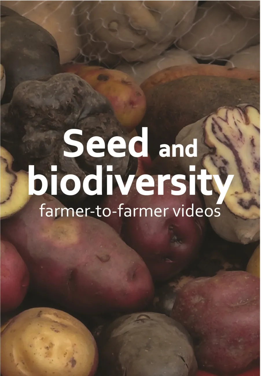Seed and Biodiversity