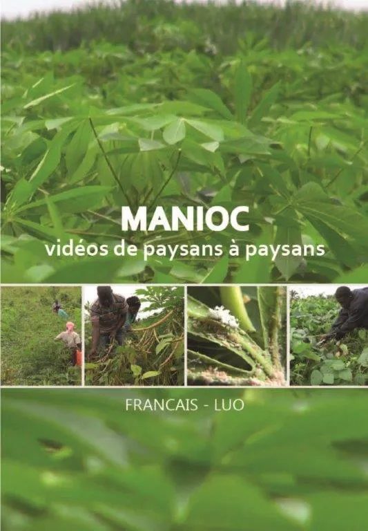 Manioc vidéos: