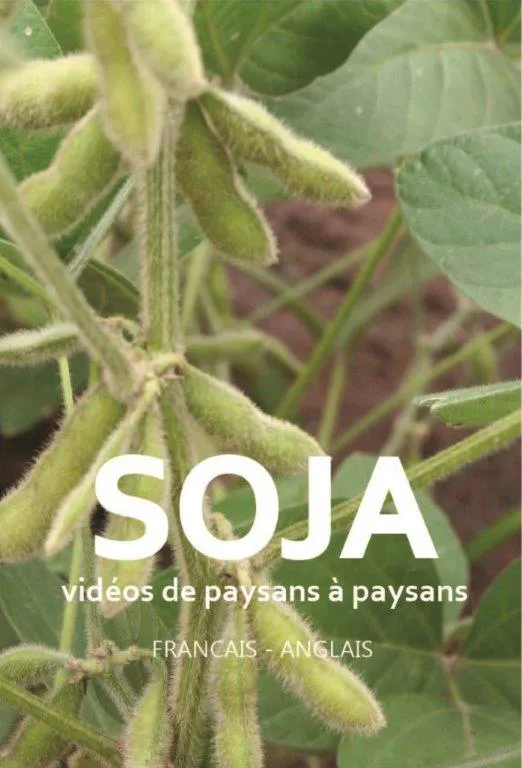 Soja vidéos: