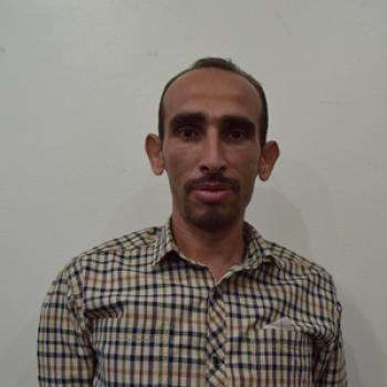 هشام محمود